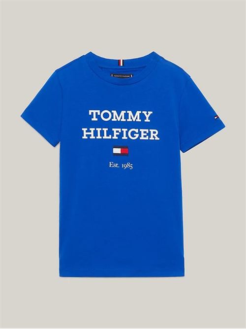  TOMMY HILFIGER | KB0KB08671T/C66